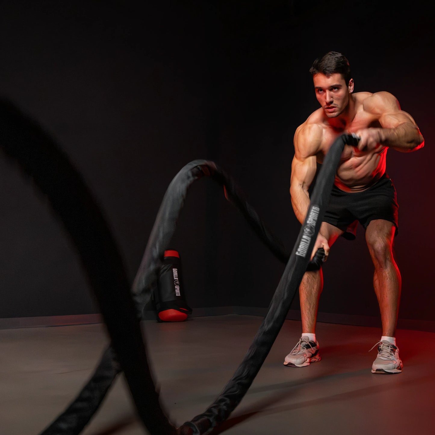 Battle Rope inkl. Wandbefestigung in verschiedenen Längen und Dicken